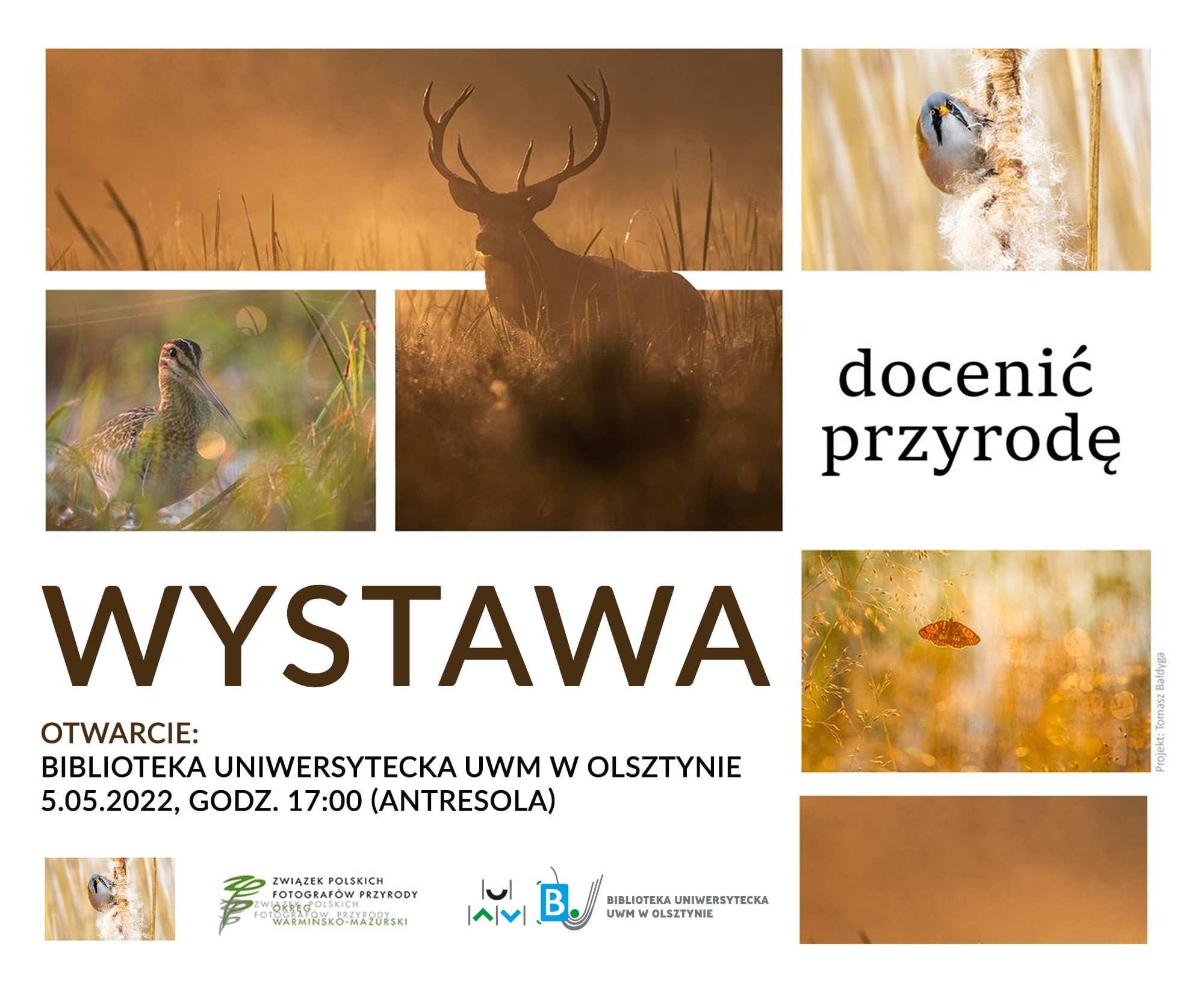 docenic przyrode